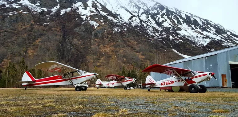 Piper PA-18 Super Cubs on Wheels